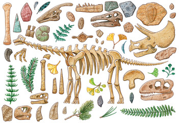 Dinosaur skeleton, skull and items illustration by watercolor with working path - 399751852
