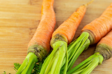 bouquet of carrots orange carrots with green tops fresh crop of vegetables on wooden background