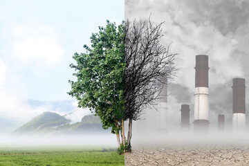 Tree on the background of nature and industrial plant. Human influence on nature. Air pollution and purification. Mountains. Environmental concept. The antithesis. - obrazy, fototapety, plakaty