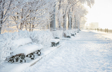 Beautiful snowy landscape in the park. White fluffy snow lies on benches, trees and sidewalks. Defocus.