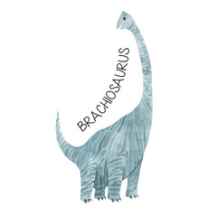 Watercolor drawing brachiosaurus isolated on white background. Dinosaur illustration. Hand drawn. Children's dino holiday.