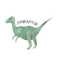 Obraz premium Synraptor dinosaur watercolor drawing isolated on white background. Dino illustration. For children, for boys, birthday, party.