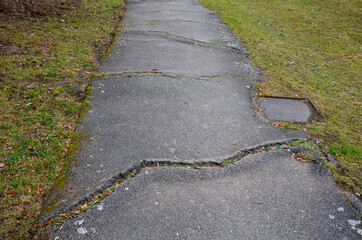 the asphalt pavement is built too close to the old poplars, which gradually destroy the road...