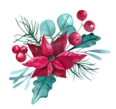 watercolor christmas flowers