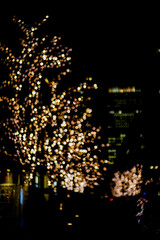 Naklejka premium クリスマス イルミネーション