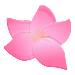 Plumeria champa icon. Cartoon of plumeria champa vector icon for web design isolated on white background