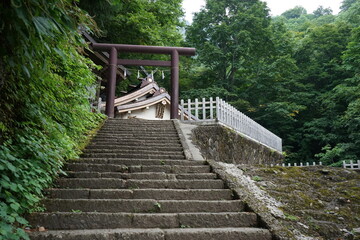 Obraz premium 戸隠神社の階段 信州 戸隠村 日本 - Staircase toward Togakushi Shrine in Shinshu, Nagano prefecture, Japan 
