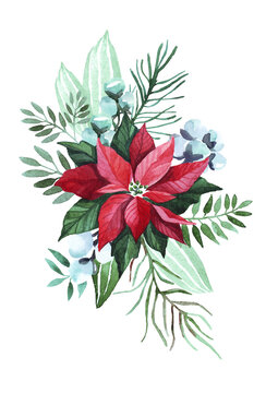 watercolor christmas flowers