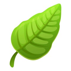 Tropical green leaf icon. Cartoon of tropical green leaf vector icon for web design isolated on white background