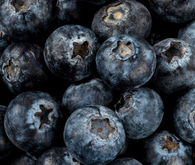Many blueberries background in a plate on a black background Sta