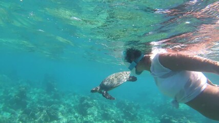Snorkeling girl and turtle are swimming together. Slow motion underwater contact of Beautiful girl swim next to wild underwater animal on surface of clear blue sea or ocean.