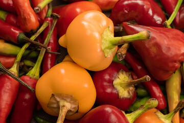 round hot orange pepper on a background of red chili pods tinted pattern