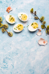 Easter background with hard boiled egg and catkin twigs, copy space
