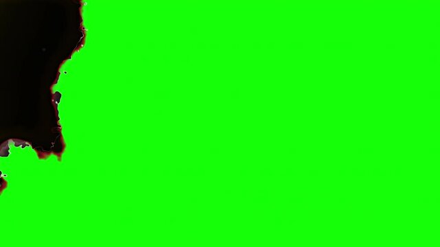 Paper burning in flames. White paper burns, revealing burnt edges, smoke and turns into ashes. Abstract paper burn transitions for your projects. Animation of realistic fire effect. 4K, Alpha Channel.