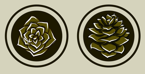 Realistic green pine cone covered in snow. View from top and side