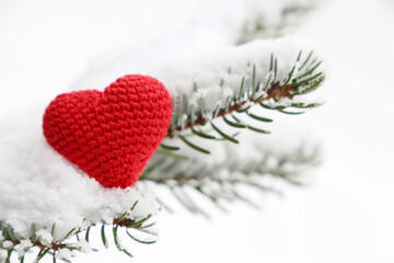 Red knitted heart in the snow on fir branch. Background for romantic card, Christmas celebration, Valentine's day or winter weather