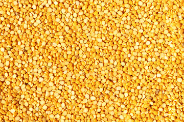 Bengal gram split or pulse. Chana Daal.