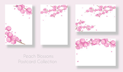 Peach Blossoms spring poscard background