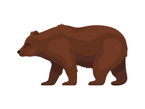 Brown cartoon grizzly bear