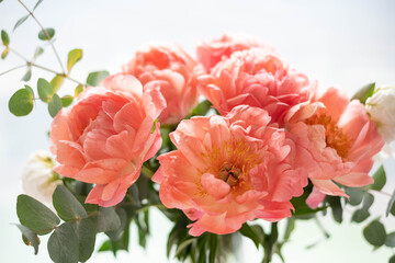 Bouquet of peonies on a white background. Eucalyptus and peonies bouquet in a glass vase. Beautiful bouquet of flowers.