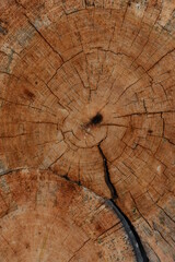 Fototapeta premium Part of a frame of the rural house. Timber wooden log of the house. Lapland, Finland.