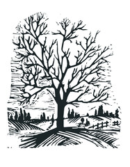 Vector image of a tree in nature. Spread tree in nature. Landscape with a tree. Black tree image.