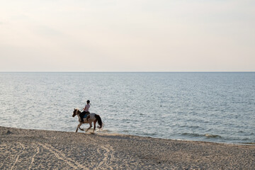 Galopujący koń nad morzem