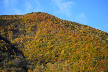 松川渓谷の紅葉
