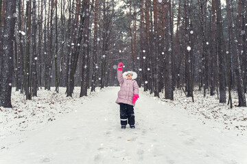 Naklejka premium landscape with winter snowy forest. winter background