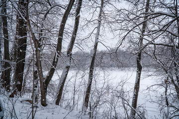 Fototapeta na wymiar Winter river under ice and snow through the trees