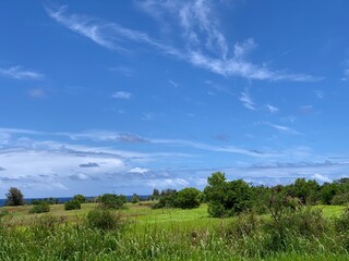 Fototapeta na wymiar カウアイ島の快晴の空と広大な庭園