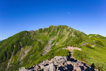夏の青空と仙丈ケ岳のカール