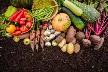 Tuinposter Harvest vegetables on the ground. Potatoes, carrots, beets, peppers, tomatoes, cucumbers, beans, pumpkin, onions and garlic. Autumn harvest farmers © Miramiska