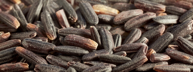Close up of black rice, selective focus, natural background.