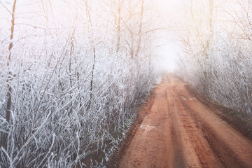 Panoramic view of the road in a snowy forest in winter at sunset.