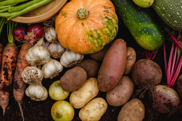 Harvest vegetables on the ground. Potatoes, carrots, beets, peppers, tomatoes, cucumbers, beans, pumpkin, onions and garlic. Autumn harvest farmers