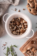chopped forest mushrooms honey agarics in a white colander