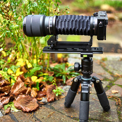 Digital camera with bellows and zoom lens on a pocket tripod, macro photography arrangement