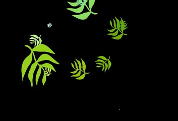 Dark Green, Yellow vector natural artwork with leaves.