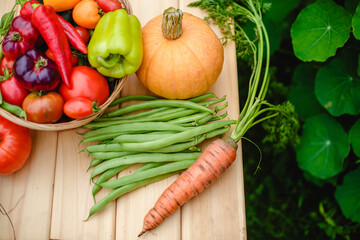 Harvest vegetables on the ground. Potatoes, carrots, beets, peppers, tomatoes, cucumbers, beans, pumpkin, onions and garlic. Autumn harvest farmers