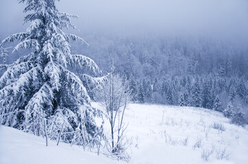Coming snow storm in the winter mountains