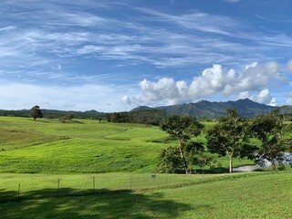 青い空と新緑色の広大な庭園が広がるカウアイ島の風景