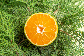 top view fresh tangerine slice with green branches on white background photo citrus orange color juice