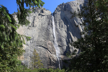 Fototapeta na wymiar Yosemite falls in yosemite National Park viewed between green trees with blue sky