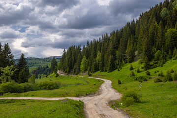 Winding dirt road and pine trees against overcast sky
