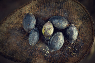 Closeup of uncooked almonds on a stump.