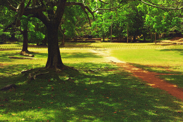 View of the Sigiriya rock in Sri Lanka. Surroundings and rock in Sigiriya.