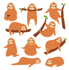 Sloths vector illustration set. Cartoon cute lazy various poses of sloths characters collection, funny brown animal sleeping on tropical tree branch in jungle, hanging and sleeping isolated on white