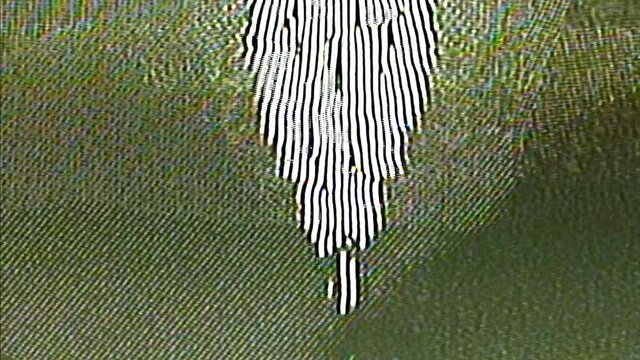 Analog Video Colors Shapes Signal Feedback