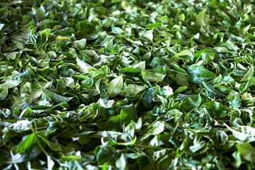 Closeup of big heap of dried black tea leaves